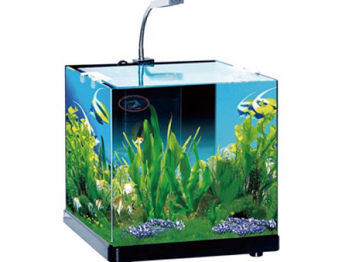 Crystal glass mini aquarium fish tank