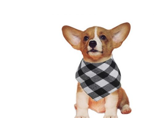 Hot sale single layer cotton dog bandana