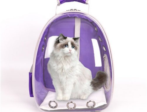 Pet Innovative accessories waterproof cat carrier