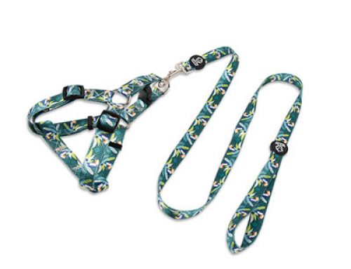 Pet chest strap bowknot desing cat dog harness
