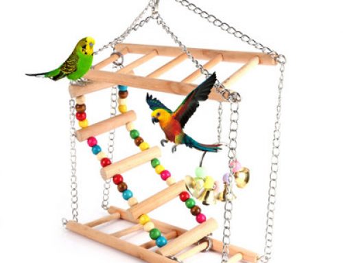 Pet hanging ladder bridge  birds toy