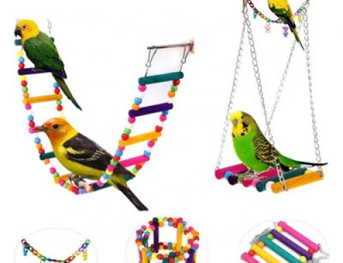 Pets bird parrot toys play 6pcs det for cage