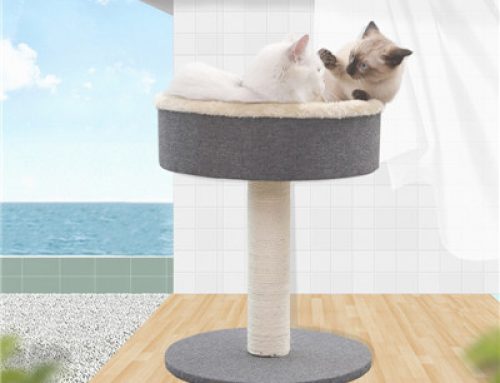 Scratching posts climbing frame tower cat tree
