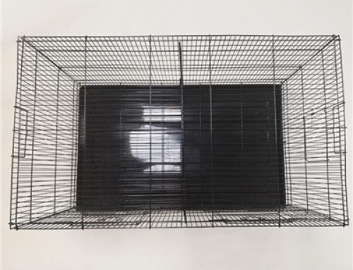 Separated grid stackable pigeon cage