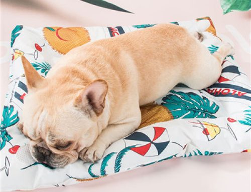 Summer heat cooling dog pet bed for sale