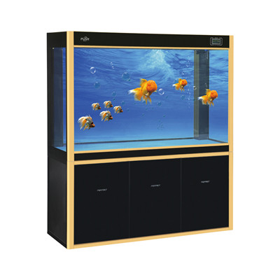 Arowana large glass fish tank aquarium