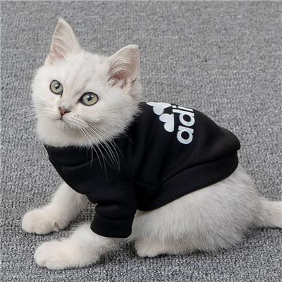 Cat suit pet e collar alternative cotton cat clothes