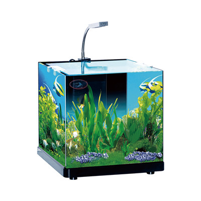 Crystal glass mini aquarium fish tank