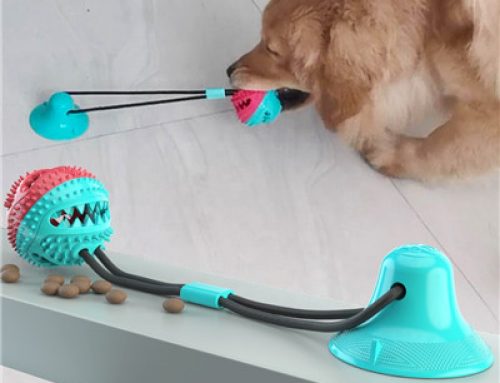 Factory price training ball toy hot sale