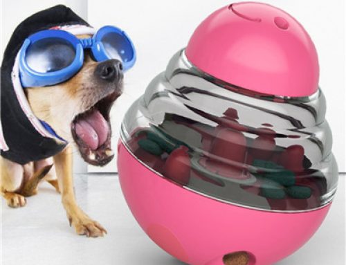 Funny leakage food ball dog interactive toy ball