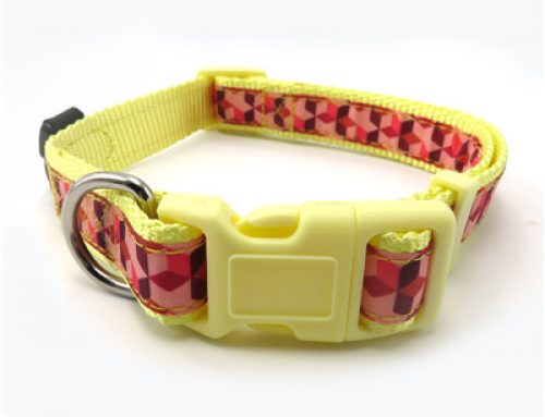 High density nylon collar with plastic buckle