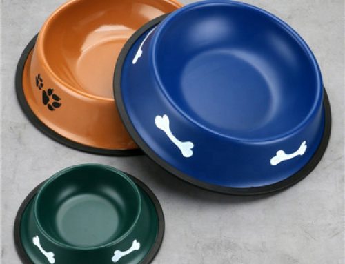 Stainless steel color spray paint dog bowl