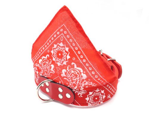 Wholesale cheap price fashion design pest collar